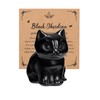 JSDDE Black Obsidian Crystal Cat Figurine for Cat Lovers Cute