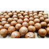 Macadamia Nuts - In shell (whole) (2 LB)