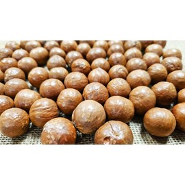 Macadamia Nuts - In shell (whole) (2 LB)