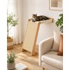 Wall Mounted Cat Scratcher with Hammock, 2-in-1 Cat Wall Furniture