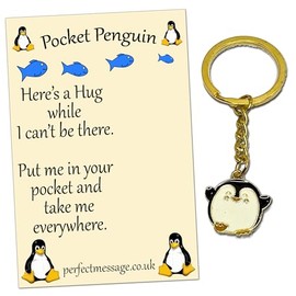Perfect Message Pocket Penguin Hug Keyring Inspirational Gift for Boys Girls and Friends