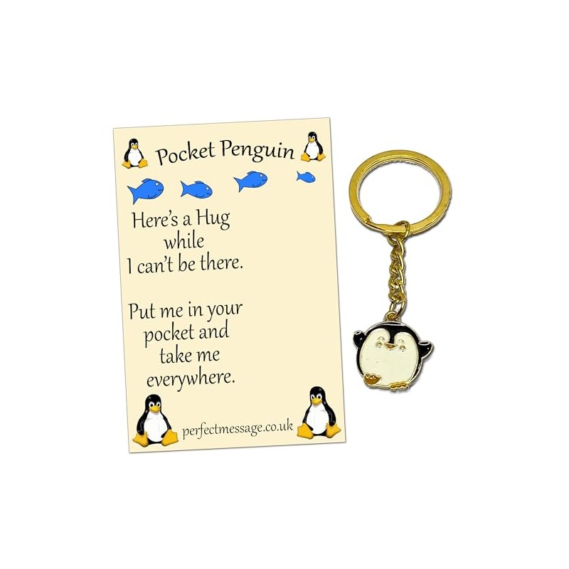 Perfect Message Pocket Penguin Hug Keyring Inspirational Gift for Boys