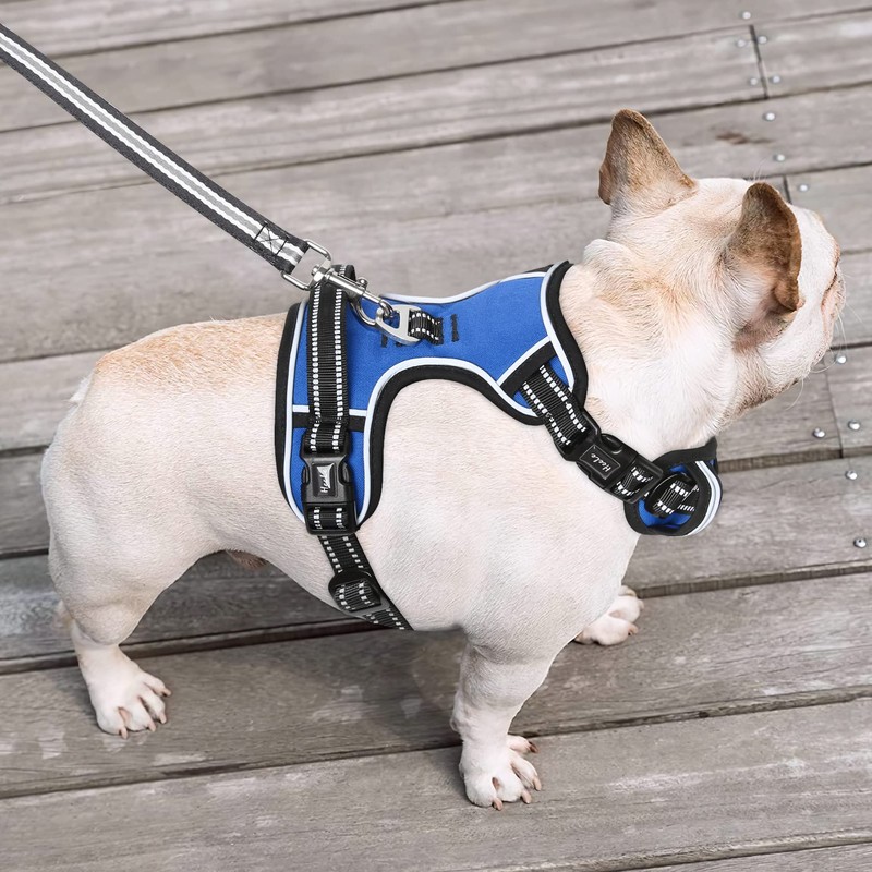 HEELE Dog Harness, No Pull Dog Harness Medium, Release on