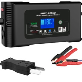 48v Golf cart Battery Charger (Crown Foot kit)