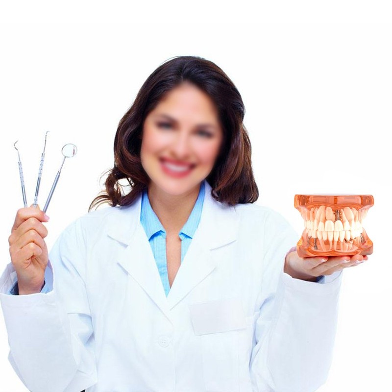 Dental Model Dental Model, Removable Dental Implant Teaching Model Dentist