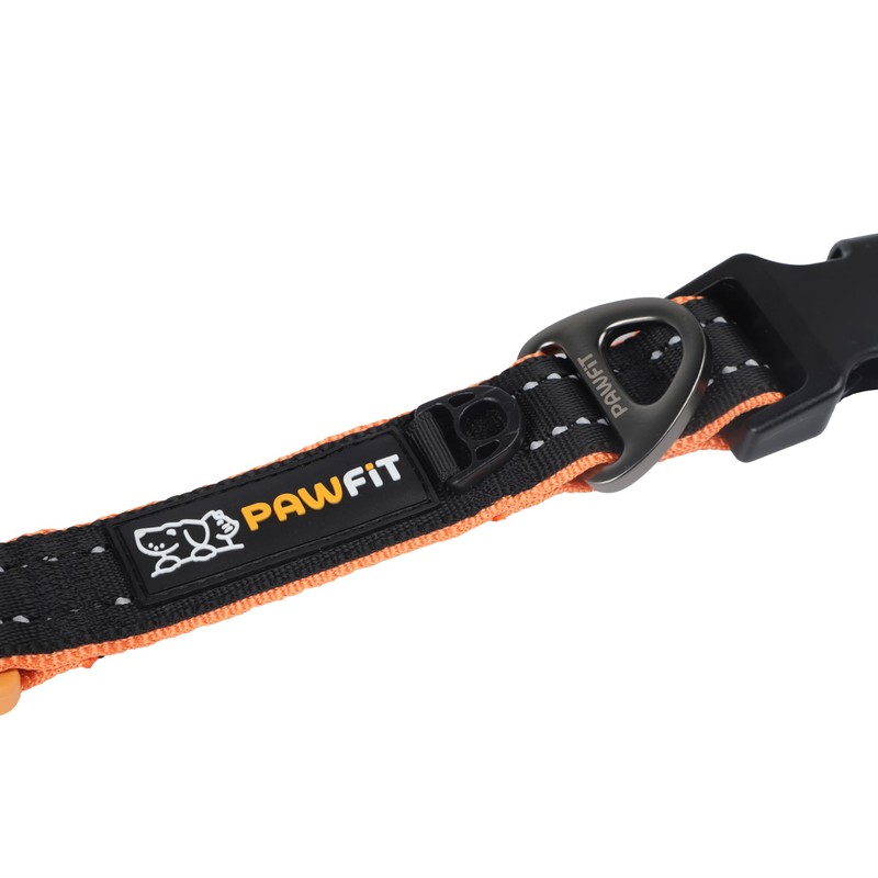 Pawfit 3 Series Collar, Nylon Dog Collar with Safety Buckle,