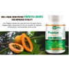 WAY 4 ORGANIC W4O Papaya Leaf Extract Capsules - 180