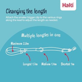 HALTI Training Lead (6'6") | Correa de instrucción para perros, talla grande, rojo