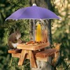 Gnodary Squirrel Feeder with Umbrella, Squirrel Feeders for Outside, Squirrel