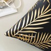 TAOSON Pack of 2,Gold Pillow Covers Velvet Cozy Soft Gold