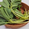 Fragrant spring vegetable butterbur leaves 1kg / 향긋한 봄나물 머위잎