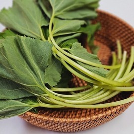 Fragrant spring vegetable butterbur leaves 1kg / 향긋한 봄나물 머위잎 1kg