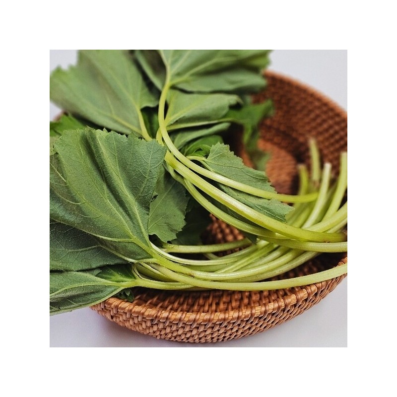Fragrant spring vegetable butterbur leaves 1kg / 향긋한 봄나물 머위잎