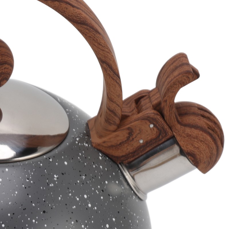 Whistling Kettle 2.5L Capacity Stainless Steel Stovetop Teapot for Water