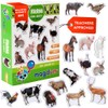 Fridge Magnets for Toddlers - Magdum - 16 Farm Animal