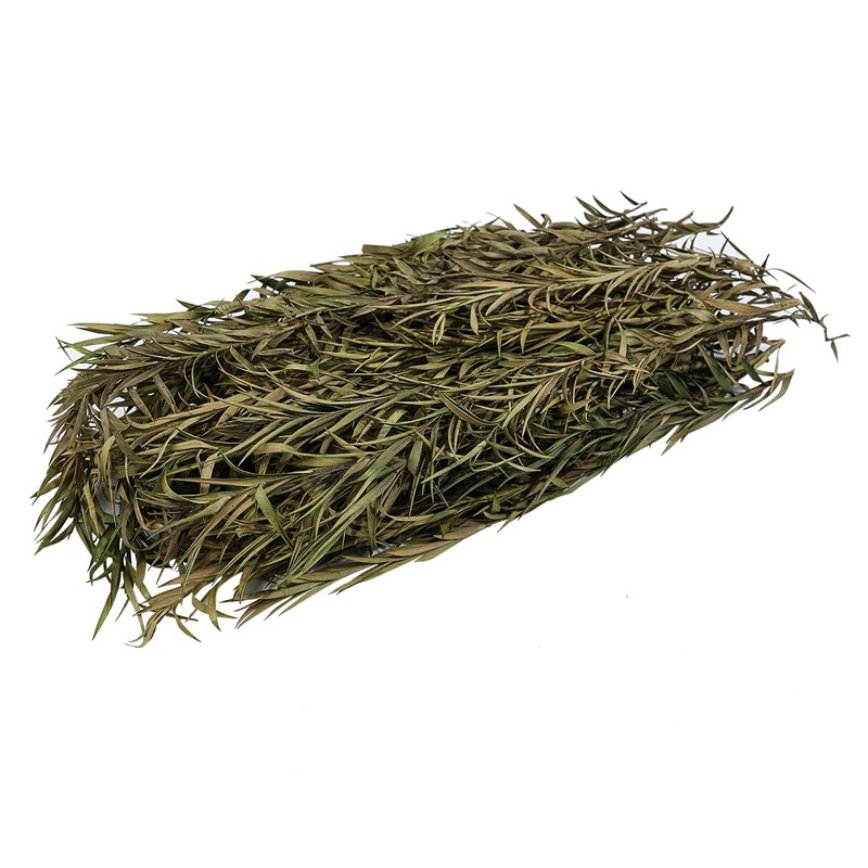 Tiardey Static Grass Tuft, Green Model Grass Tufts Railway Artificial