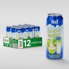 Vinut Original Coconut Water Drink With Pulp (16.57 fl oz,