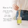 K. Hall Designs Lemon Sage Boxed Diffuser Kit, Citrus Scent