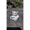 Teacup Dog Cat Series (Sabatra White Cat)