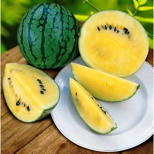 FUN AND GROW SEEDS: Seeds Yellow Doll Watermelon Non GMO