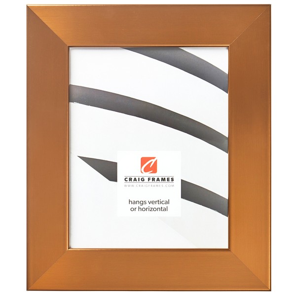 Craig Frames Bauhaus 200 Picture Frame, 20 x 30 Inch,