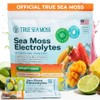TrueSeaMoss Electrolytes Powder Concentrate Packets – Made in USA –