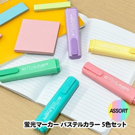 flexoffice 5.0mm Smudge Washable Highlighter/Highlighter Markers for School and Office Pastel Colors (Yellow, Pink, Blue, Green, Purple)