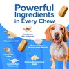 SKIP Hip + Joint Supplement for Dogs - 60 Chews