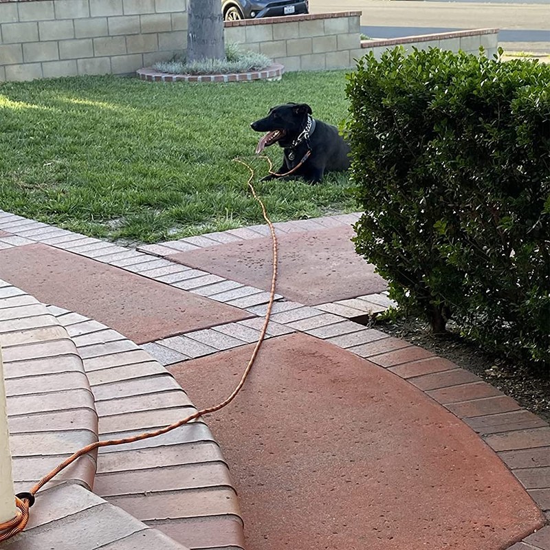 BTINESFUL Dog Tie Out, Check Cord Long Tether Rope Leash,