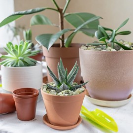 YISZM 2LB Succulent and Cactus Pebbles, 1/5 Inch Jade Natural Decorative Polished Stones, River Rocks for for Indoor Plants, Vases, Planters and Outdoor Gardening