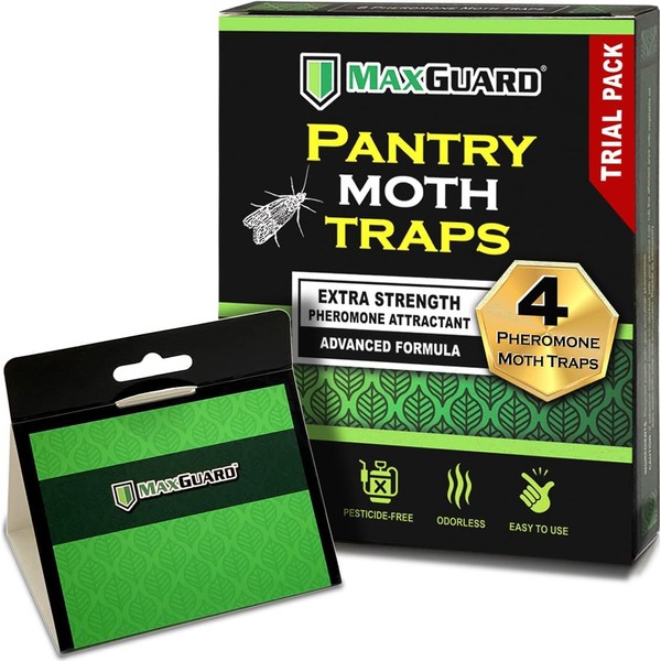 MaxGuard Pantry Moth Traps (4 Traps Trial Pack) Extra Strength