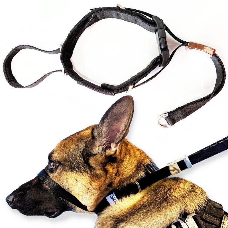 PetsProMax No-Pull Dog Headcollar for Large Dogs (Size L) -