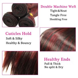 Peenoll Burgundy Straight Human Hair Bundles 16 18 20 inch P1B/99J Human Hair Bundles Burgundy 100% Unprocessed Soft Sewn In Hair for Black Women with Double Weft