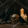 Decoración de Cuervos Artificiales Negros para Halloween, Set de 6