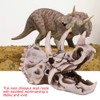Dinosaur Triceratops Skull Model, Simulated Skeleton Think Dinosaur Statue Decorations