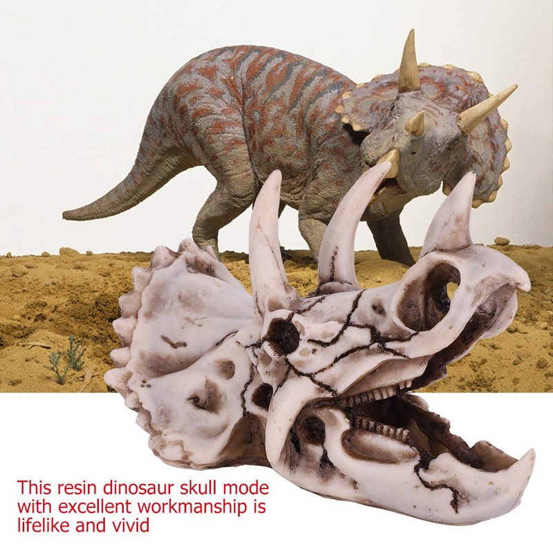 Dinosaur Triceratops Skull Model, Simulated Skeleton Think Dinosaur Statue Decorations