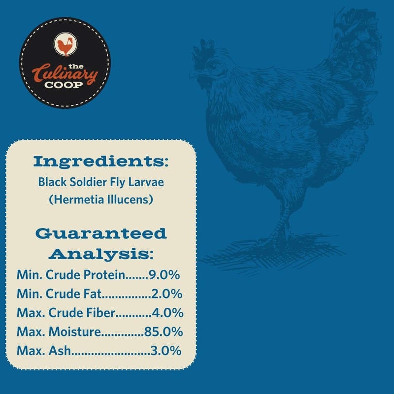 Fluker's Culinary Coop Canned Soldier Worms Chicken Treat, All Natural