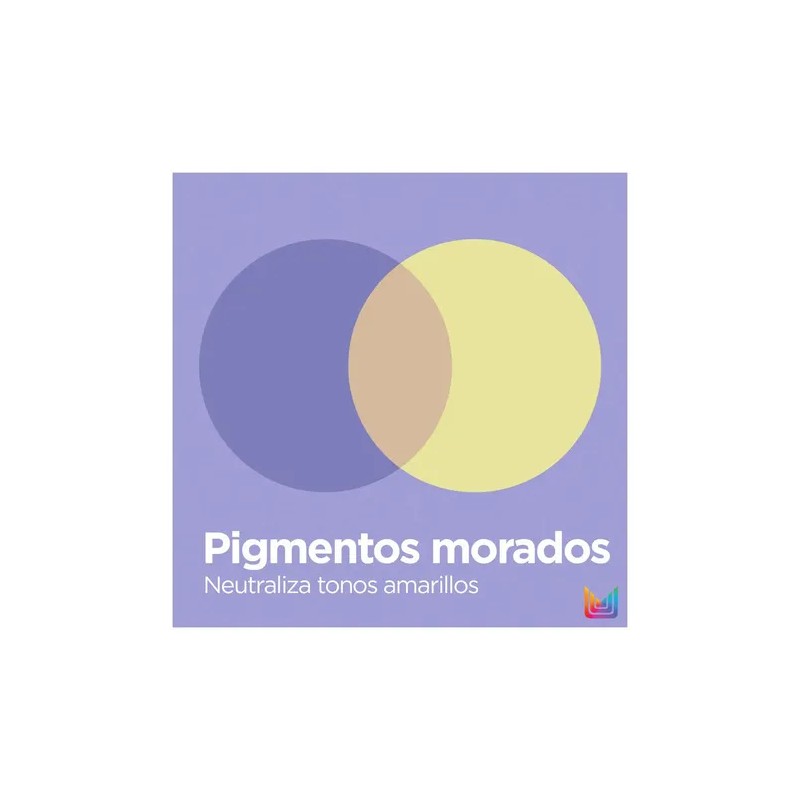 Acondicionador Pigmento Morado Matizar Rubios Matrix 1L