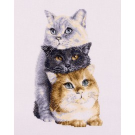 Thea GOUVERNEUR SINCE 1959 Dutch Stitch Brothers - Counted Cross Stitch Kit - DSB012A - Three Cats - White Aida - 10.2 x 7.1 Inch - Embroidery Kit for Adults