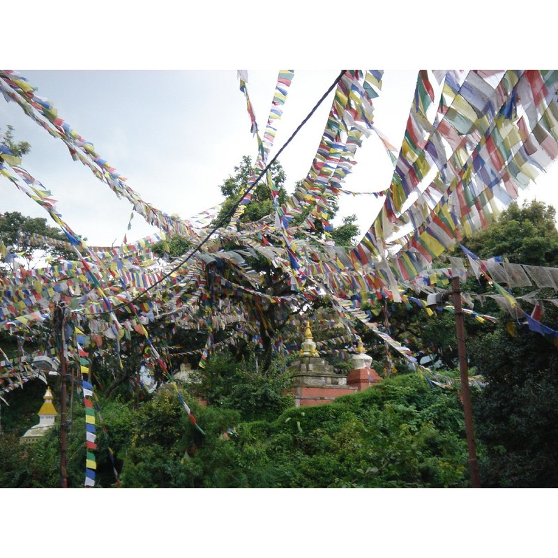 Guru-Shop Tibetan Prayer Flags in Various Lengths 25 Pennants /