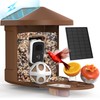 PeckCam® Bird Feeder with Camera, 2K Ultra HD Live Stream