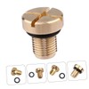 GRIRIW Radiator Expansion Tank Bleeder Screw M10*1 Fit for E36