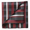 KissTies Mens Tie Set Grid Ties Red Black Plaid Necktie