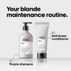 L'Oréal Professionnel Silver Shampoo Neutralizador 500ml