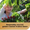 NESCAFÉ NESCAFE Gold Espresso Blonde, Instant Coffee, 3.5 oz -