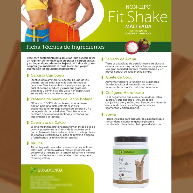 Non Lipo Fit Shake - 580g, Sabor Chocolate Malteada para