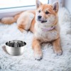 BTtime Eating Prevention, Slow Feeder, Dog Health Management, Reduces Stomach
