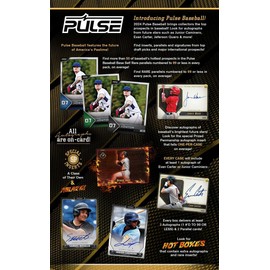 2024 Pulse Baseball 3 On Card Autographs Per Hobby Trading Card Box