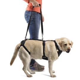 Ortocanis - Full Body Harness for Front and Rear Legs Support - Extra Large