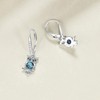 POPKIMI Owl Gifts for Women Owls Earrings for S925 Sterling